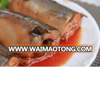 Wholesale best canned mackerel brine canned mackerel